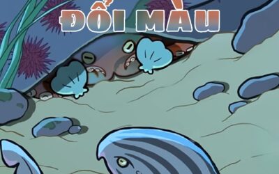 THINK OUTSIDE THE BOOK: VÌ SAO BẠCH TUỘC CÓ THỂ ĐỔI MÀU?