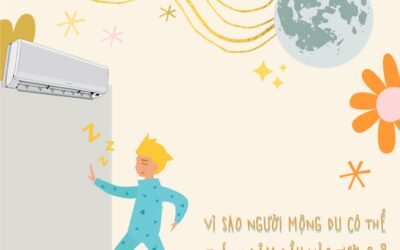 LA BÀN ĐỊNH VỊ CỦA NGƯỜI BỊ MỘNG DU